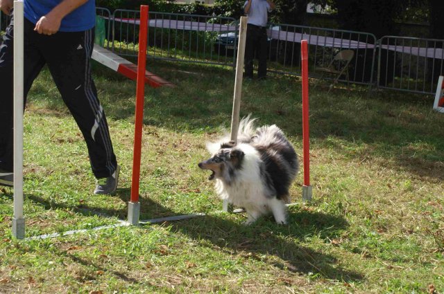 foire-haricots 2011-09-17et18